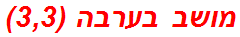 מושב בערבה (3,3)