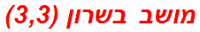 מושב בשרון (3,3)