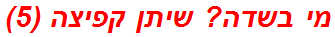 מי בשדה? שיתן קפיצה (5)