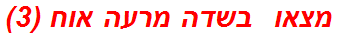 מצאו  בשדה מרעה אוח (3)