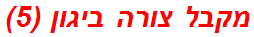 מקבל צורה ביגון (5)