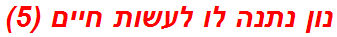 נון נתנה לו לעשות חיים (5)