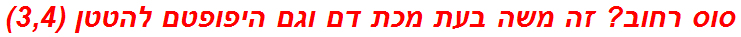 סוס רחוב? זה משה בעת מכת דם וגם היפופטם להטטן (3,4)