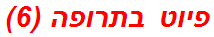 פיוט בתרופה (6)