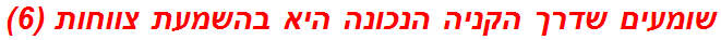 שומעים שדרך הקניה הנכונה היא בהשמעת צווחות (6)