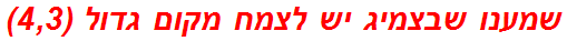 שמענו שבצמיג יש לצמח מקום גדול (4,3)