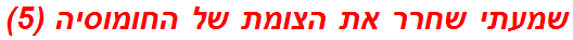 שמעתי שחרר את הצומת של החומוסיה (5)