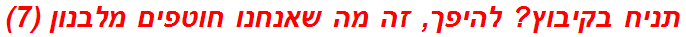 תניח בקיבוץ? להיפך, זה מה שאנחנו חוטפים מלבנון (7)