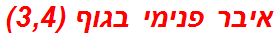 איבר פנימי בגוף (3,4)