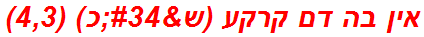 אין בה דם קרקע (ש"כ) (4,3)