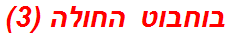 בוחבוט החולה (3)