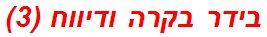 בידר בקרה ודיווח (3)