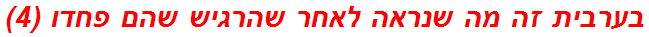 בערבית זה מה שנראה לאחר שהרגיש שהם פחדו (4)