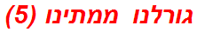 גורלנו ממתינו (5)