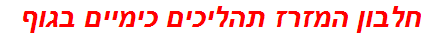 חלבון המזרז תהליכים כימיים בגוף