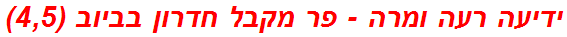 ידיעה רעה ומרה - פר מקבל חדרון בביוב (4,5)