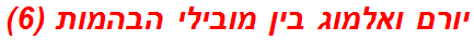 יורם ואלמוג בין מובילי הבהמות (6)