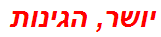 יושר, הגינות