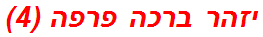 יזהר ברכה פרפה (4)