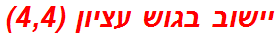 יישוב בגוש עציון (4,4)