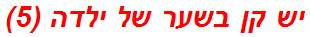 יש קן בשער של ילדה (5)