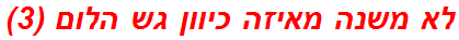 לא משנה מאיזה כיוון גש הלום (3)