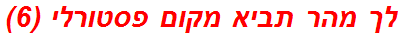 לך מהר תביא מקום פסטורלי (6)