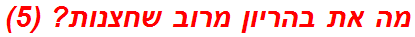 מה את בהריון מרוב שחצנות? (5)