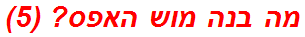 מה בנה מוש האפס? (5)