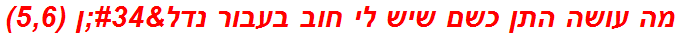 מה עושה התן כשם שיש לי חוב בעבור נדל"ן (5,6)