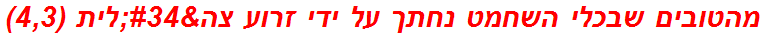 מהטובים שבכלי השחמט נחתך על ידי זרוע צה"לית (4,3)