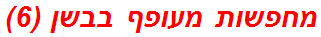 מחפשות מעופף בבשן (6)