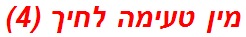 מין טעימה לחיך (4)