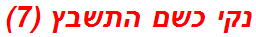 נקי כשם התשבץ (7)