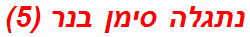 נתגלה סימן בנר (5)