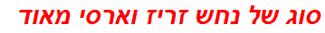 סוג של נחש זריז וארסי מאוד