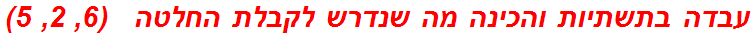 עבדה בתשתיות והכינה מה שנדרש לקבלת החלטה   (6, 2, 5)