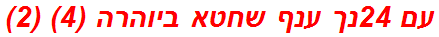 עם 24נך ענף שחטא ביוהרה (4) (2)