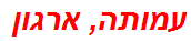 עמותה, ארגון