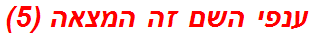 ענפי השם זה המצאה (5)