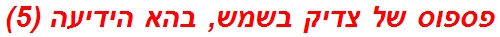 פספוס של צדיק בשמש, בהא הידיעה (5)