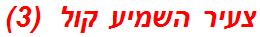 צעיר השמיע קול  (3)