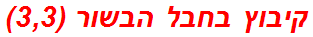 קיבוץ בחבל הבשור (3,3)