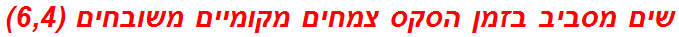 שים מסביב בזמן הסקס צמחים מקומיים משובחים (6,4)