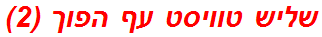 שליש טוויסט עף הפוך (2)