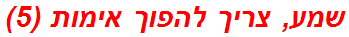 שמע, צריך להפוך אימות (5)