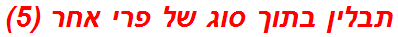 תבלין בתוך סוג של פרי אחר (5)