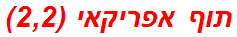 תוף אפריקאי (2,2)