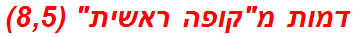 דמות מקופה ראשית (8,5)