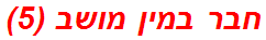 חבר במין מושב (5)